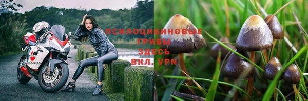 мескалин Богородск