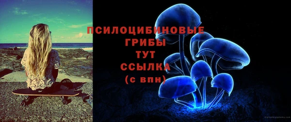 2c-b Богданович